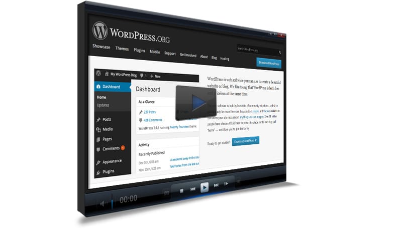 How to Update and Delete WordPress Plugins